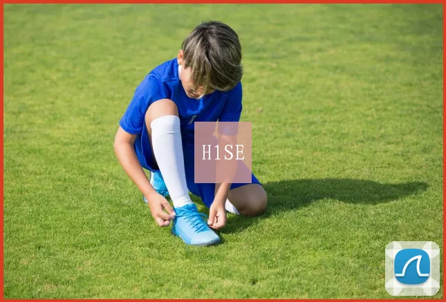 H1SE