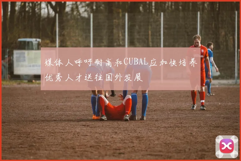 媒体人呼吁耐高和CUBAL应加快培养优秀人才送往国外发展