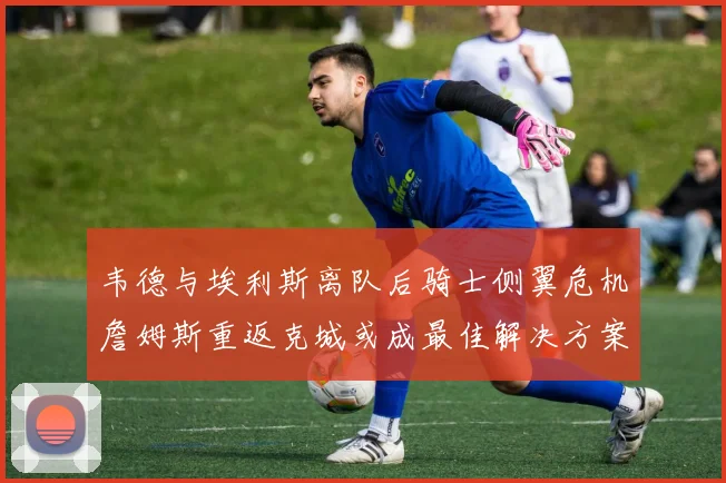 韦德与埃利斯离队后骑士侧翼危机詹姆斯重返克城或成最佳解决方案